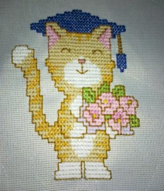 graduation cat