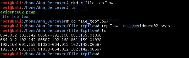 2 - file tcpflow